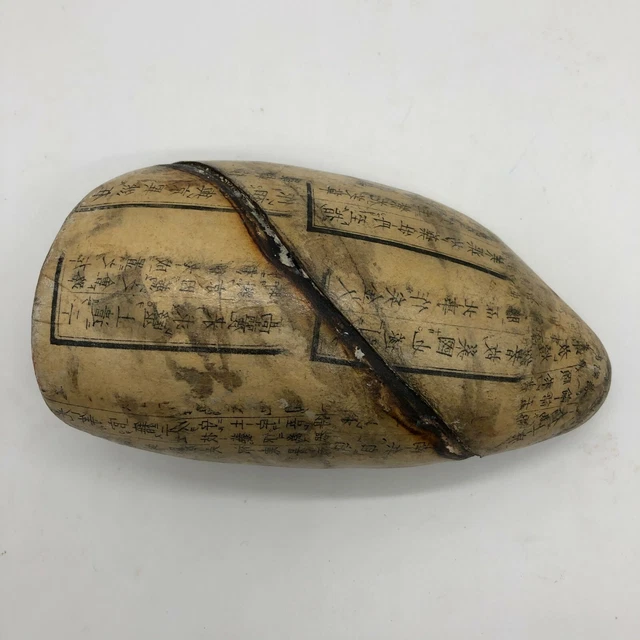 FS RARE VTG Japanese anatomical model Science anatomy Japan vintage