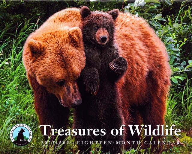 20232024 TREASURES OF Wildlife 18 Month Wall Calendar New Polar Bears