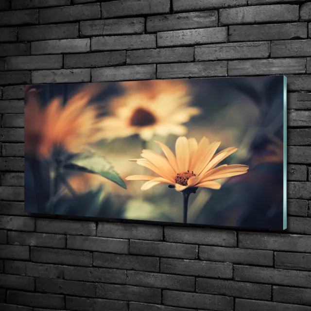 Wandbild aus Plexiglas® Druck auf Acryl 100x50 Blumen & Pflanzen Frühlingsblume