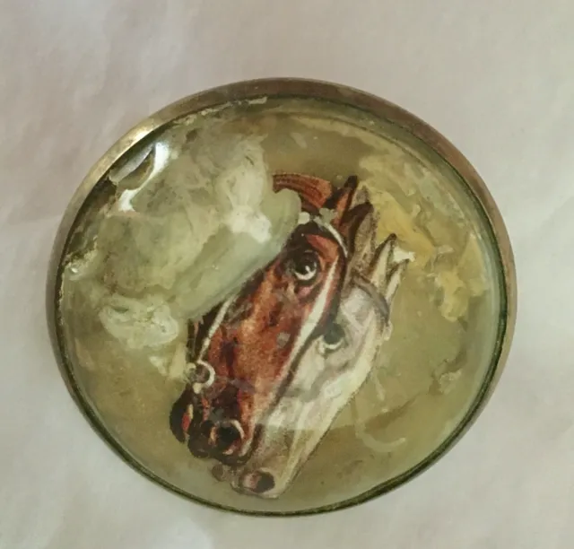 VINTAGE BRIDLE ROSETTE GLASS HORSE HEADS Racing Thorobreds Domed Glass Old Brass