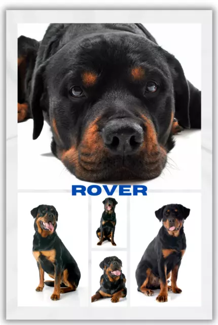 Rottweiler Custom Throw Blanket Personalized Dog Photo Gift 30x40 50x60 60x80