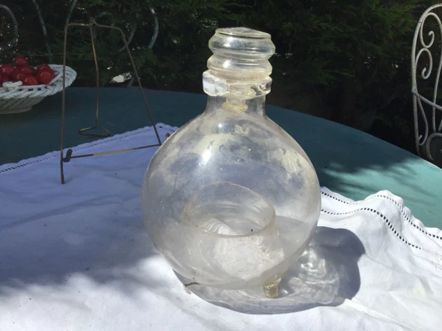 Piège à Guêpes En Verre Colorés Bleu