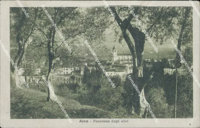 ch405 cartolina arco panorama dagli ulivi provincia di trento trentino 1916