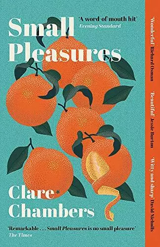 Small Pleasures: Longlisted for the Women's Prize for Fiction 2021 By Clare Cha