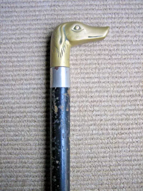 Vintage English handcrafted brass dog head handle wood cane walking stick