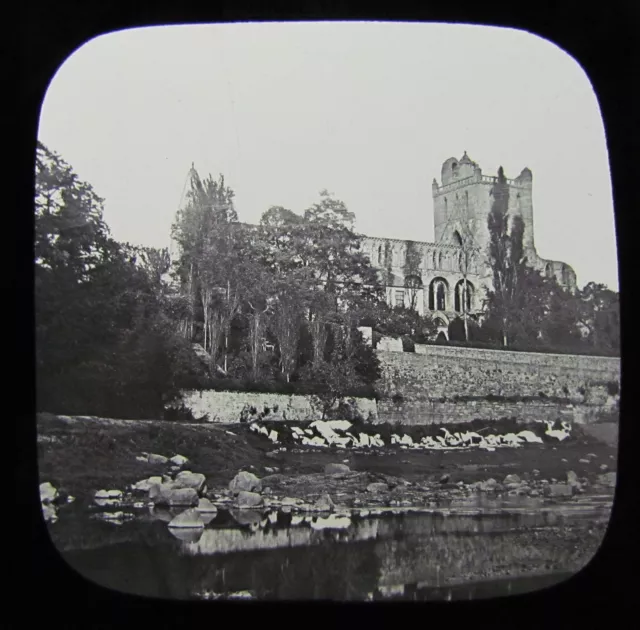 Glas magische Laterne Rutsche JEDBURGH ABBEY C1890 SCHOTTLAND L120