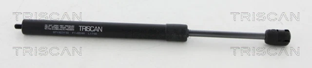 Molla a gas Triscan cofano 8710 23132 per Mercedes classe W222 V222 C217