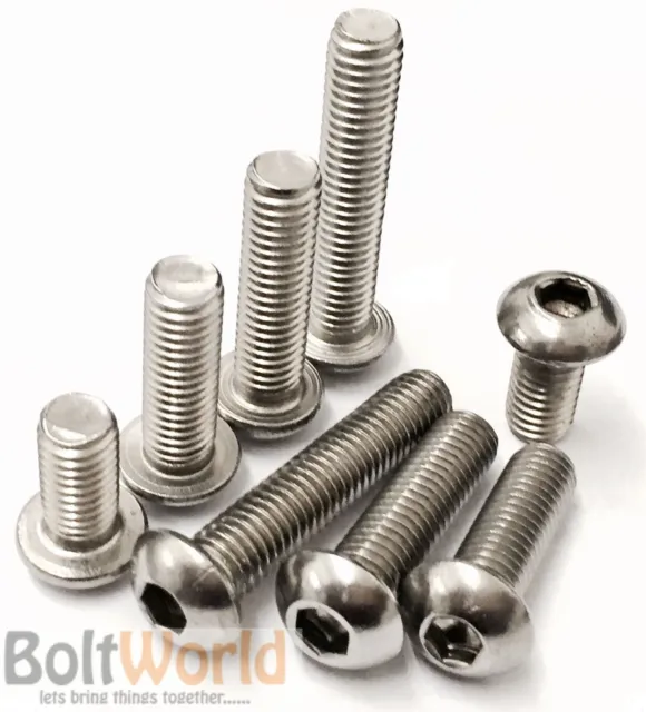 M3 M4 M5 M6 M8 A2 Stainless Steel Socket Button Dome Head Allen Screws Bolts Bw