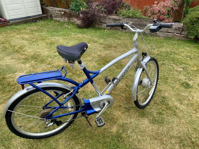 Giant suede electric bike on sale