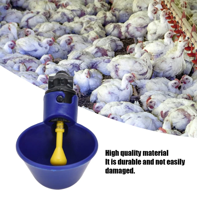 Chicken Watering Cup G1/8 Male Thread High Standard Chicken Watering System