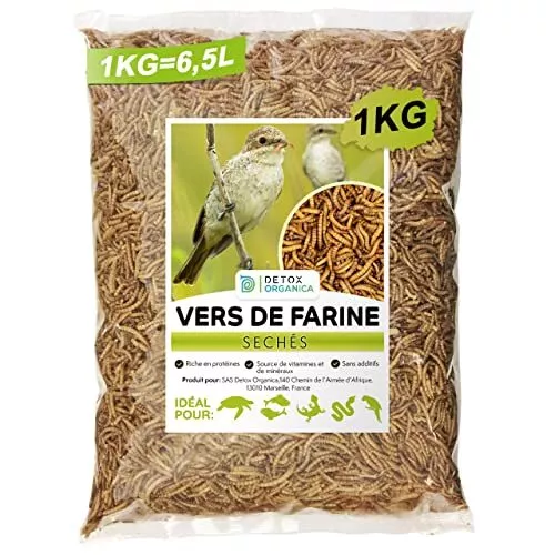 Les Vers de farine pour vos animaux - Protéines et nutriments