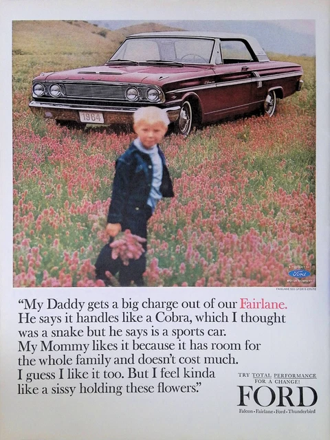 Print Ad 1964 Ford Fairlane 500 Sports Coupe Boy Field Flowers Sports Car