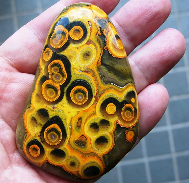 Natural  Bumble Bee Jasper Sea Wave Designer Eye Cushion Cab Loose Gemstone DC77