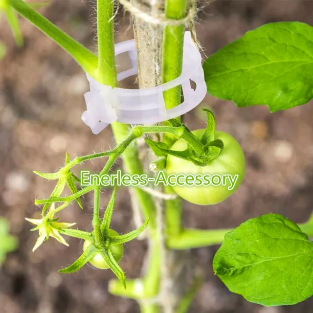 1-100X Clips De Support Pour Plantes De Jardin Tomates Et Légumes Treillis R