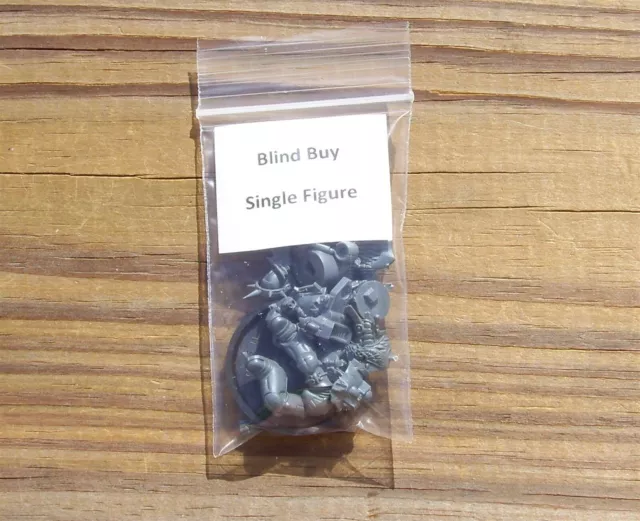 40K Blood Angels _Sanguinary Guard Blind Buy Single Figure Bits