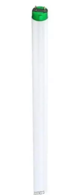 Philips-28-Watt 4 ft. Linear Fluorescent Tube Light Bulb Natural Light (5000K)