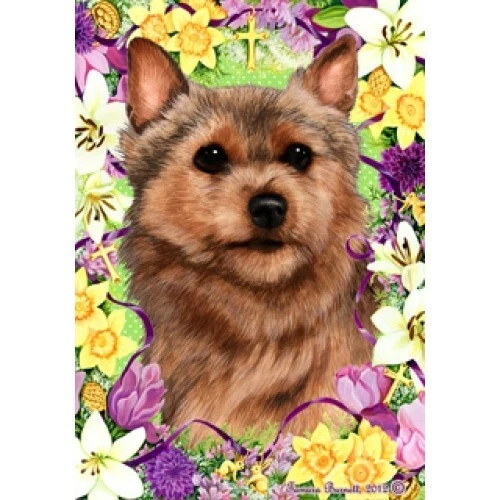 Easter House Flag - Norwich Terrier 33152