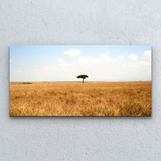 Wandbilder Glasbild Druck auf Glas Wand Kunst 100x50 Einsamer Baum in Afrika