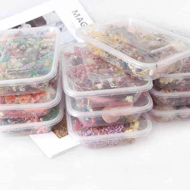 Real Pressed Dried Flower For Art Craft Resin Pendant Jewellery 20223 DIY M2A9