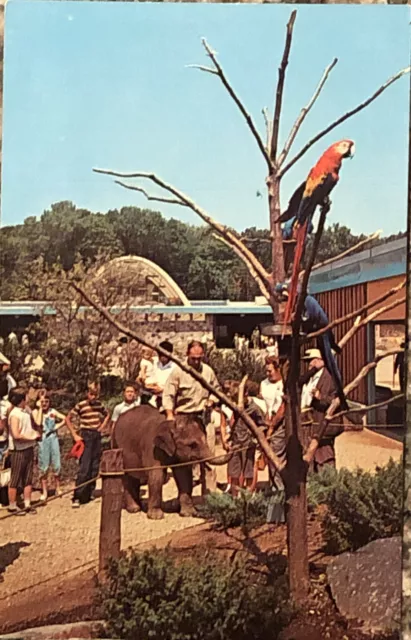 Milwaukee County Zoo WI POSTCARD Baby Elephant Visit Children Macaw VTG Unposted