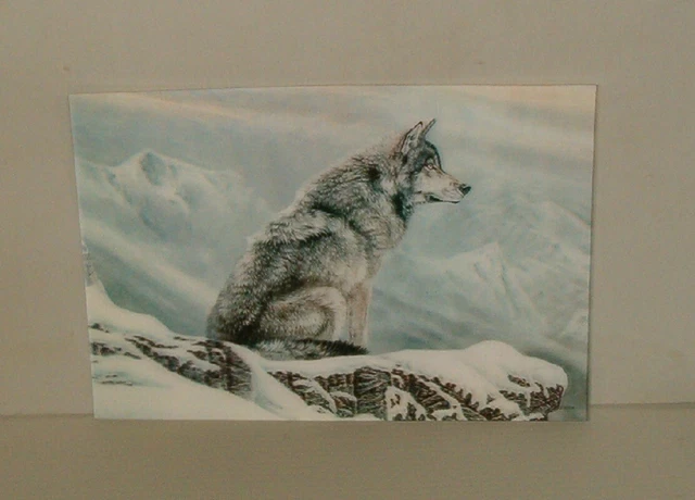 6 New 3 D Vinyl Pictures Of Lone Wolf In Snow