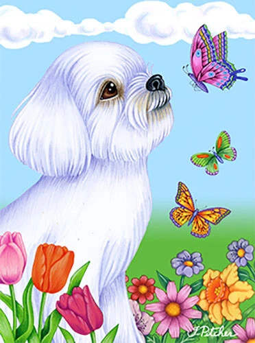 Butterfly House Flag - Maltese 98041