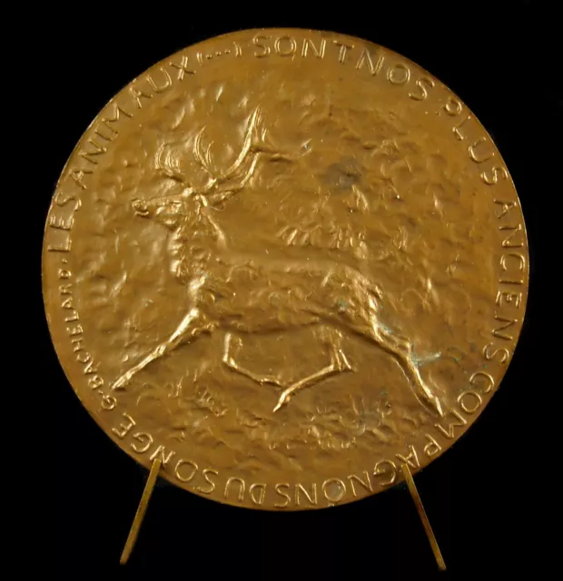 Médaille Frédéric Rossif, Réalisateur De Nuremberg à Nuremberg animal Deer Medal