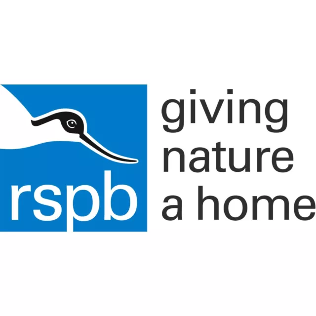 RSPB Pin Badge | Dice Snake | International Species on GNaH card [00958] 2