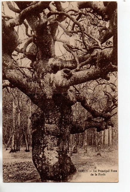 VERZY - Marne - CPA 51 - Tree - Curiosity - a fake in the drill 3