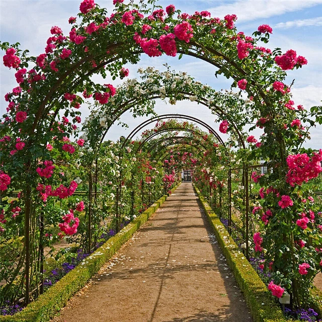 HEAVY DUTY METAL Garden Arch Rose Archway Pergola Arbour Climbing ...