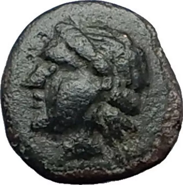 ALEXANDRIA TROAS 261BC Apollo Horse Rare Authentic Ancient Greek Coin i59651