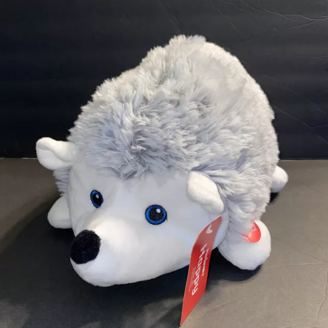 2020 PETSMART HAPPY Hedgehog 14