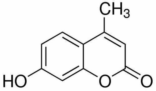 4-Methylumbelliferone, 7-Hydroxy-4-methylcoumarin, 4-MU, 50g