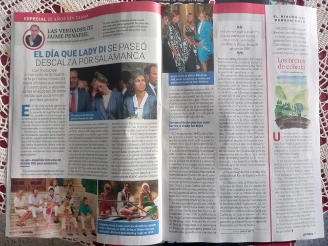 clipping p 2626 lady di diana of wales