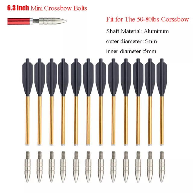 12pcs 6.3 in Gold Aluminum Shaft Bolts / Arrows for 50-80lbs Bow Archery Hunting
