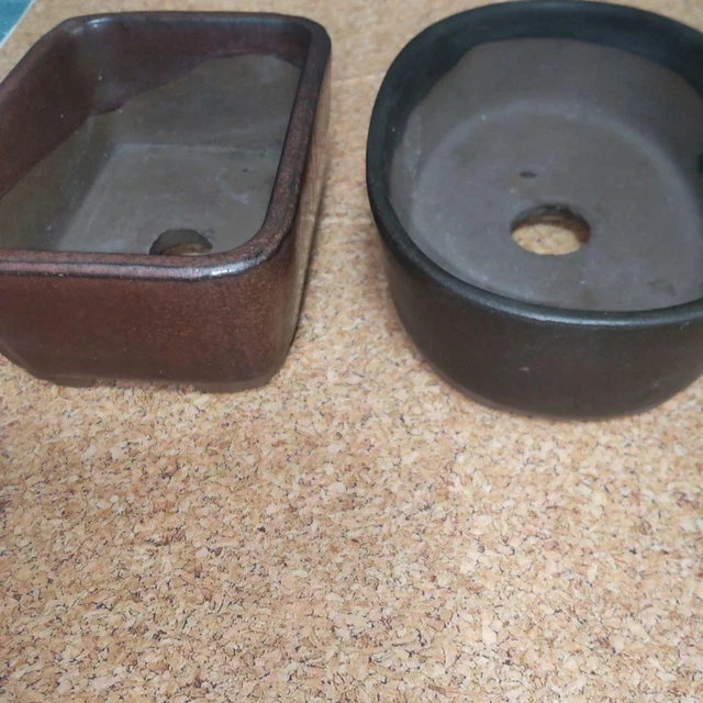 Set Of Mini Bonsai Pots