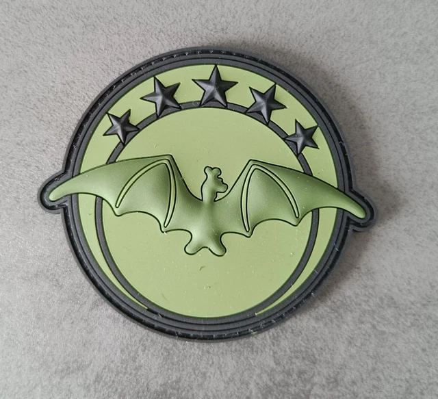 F119 Program Patch PATCH ARMÉE DE l'air escadrille F119 Chauve Souris, ET 3/61 Poitou PVC ...