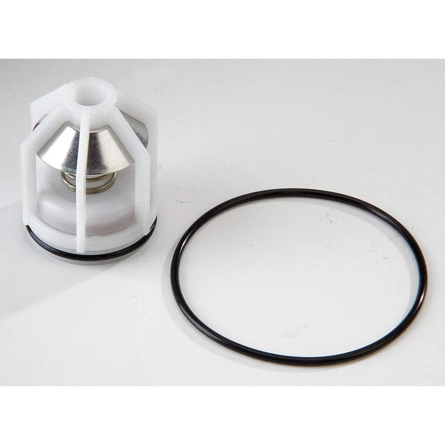 WATTS 009 M2 1 1st Check Kit Repair Kit,Watts Series 009 M2, 1 In