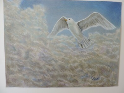 Soaring High, Original 9x12 Colored Pencil Drawing, Unframed, Bird 3