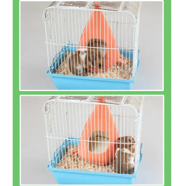 Karotte Hängematte Frettchen Kaninchen Guinea Pig Ratte Hamster Mäuse Bett 3