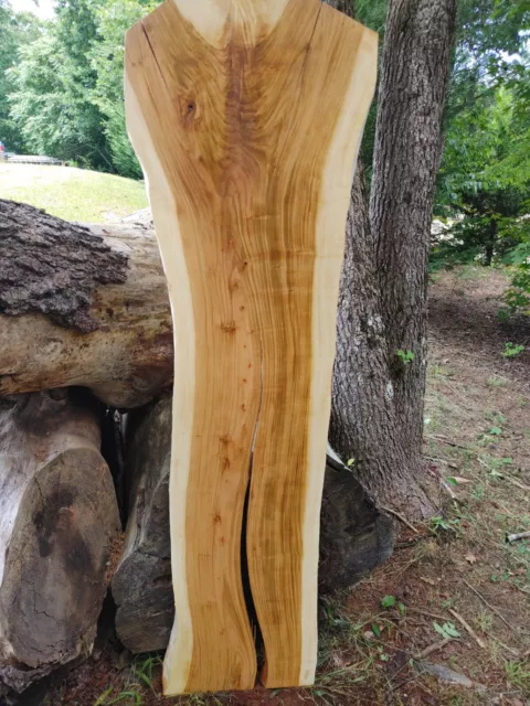 Weeping Cherry Slab (Live Edge) (thick slab)