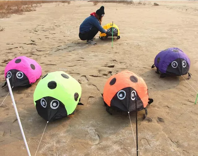 2024 new Ladybug kites can walk without flying, durable nylon outdoor