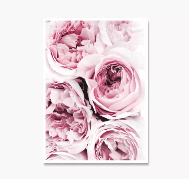 Pink Peonies Peony Art Print Poster or Canvas Flowers Floral Wall Art Roses