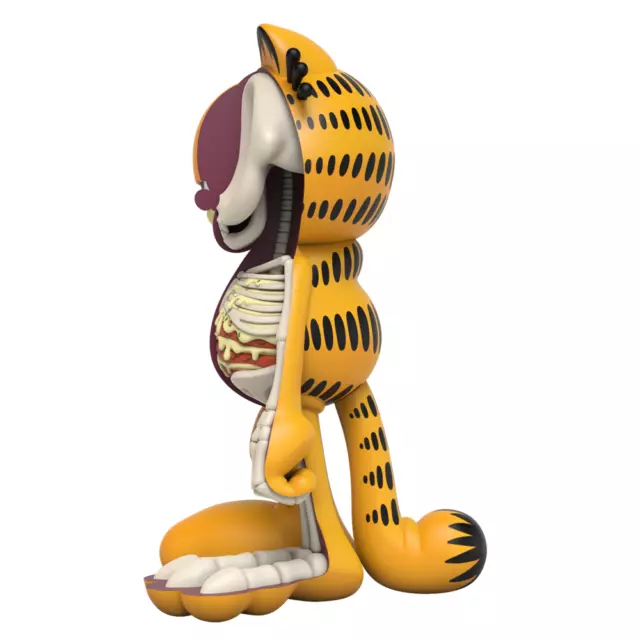 Garfield Cat XXRAY Plus Collectible Figurine Jason Freeny Mighty Jaxx Art Toys 3