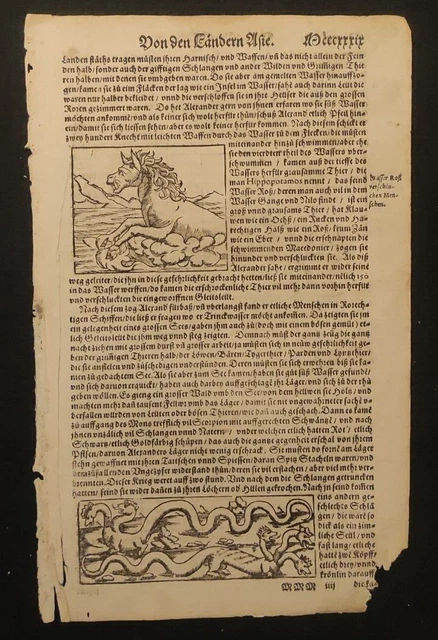 Mostro Marino Serpente Tre Teste Sebastian Munster Xilografia