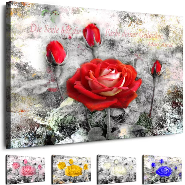 Leinwand Bilder Xxl - Wandbilder Blumen - Bild Rote Rose -Kunstdruck Aufgespannt