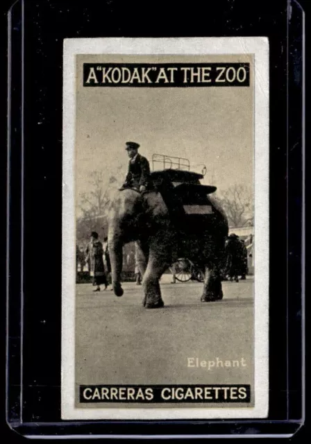 1924 CARRERAS LTD. CIGARETTES A "KODAK" AT THE ZOO TOBACCO CARD #33 Elephant