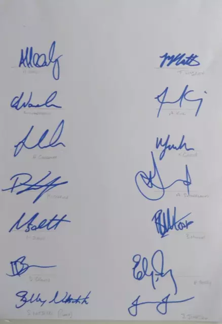 Australia Woman Autographed Team Sheet, By 14 Incperry, Healy, Schutt, Mooney.