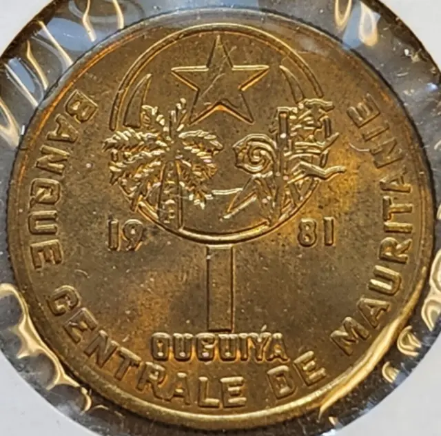 1981 Mauritana 1 Guguiya coin uncirculated