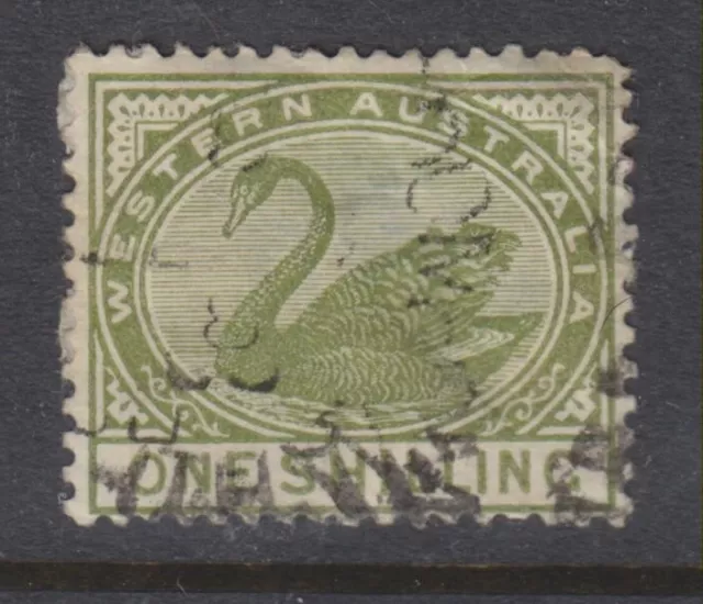 1885-1893 - Western Australia - 1/- Olive Green Swan - P14 - Sg 102 - W753